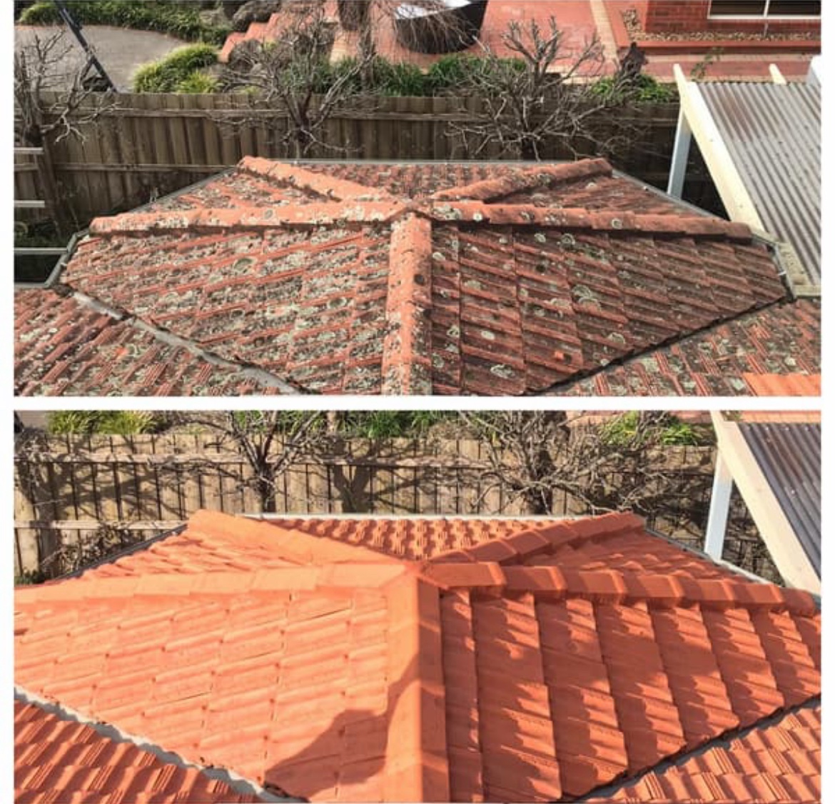 Before and after terracotta roof clean
